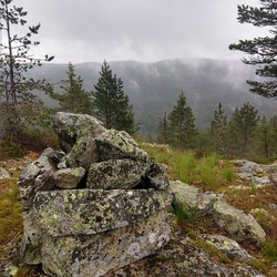 Lykollen