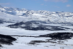 Kråmnuten