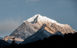 Tengi Ragi Tau