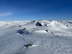 Bergekvævknuten