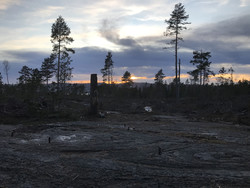 Bergeråsen