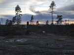 Bergeråsen