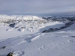 Smørviknuten