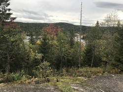 Venneråsen