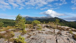 Svensvikhaugan
