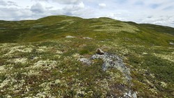 Skarethøgda
