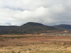 Bukkehaugen