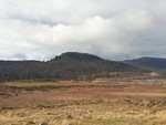 Bukkehaugen
