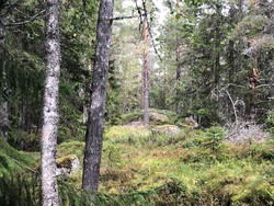 Rishuet Nord