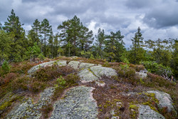 Hovlandsfjellet S2