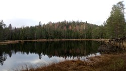 Nordre Bårlisetern