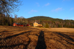 Mjærskaukollen
