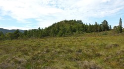 Haukåsen Vesttoppen