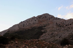Cabras