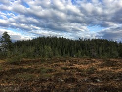 Brennfjella