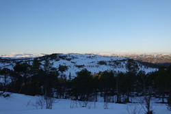 Bjørnabakken