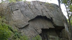 Kastetskogen