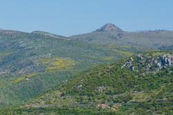 Sveti Nikola