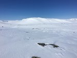 Kongshellernuten