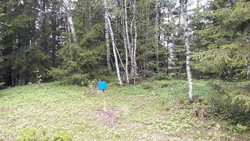 Herbergshaugen