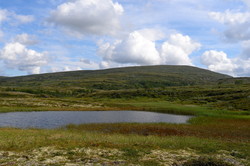 Sætertangen