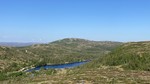 Grønliheia