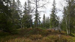 Skotjernfjell Søndre