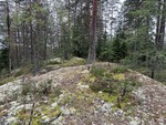 Sotåsen