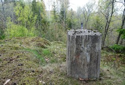 Bystein 59