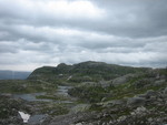 Sauanuten