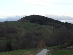 Raunehagen