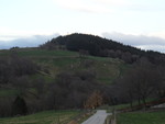 Raunehagen