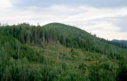 Dugurdmålsnatten
