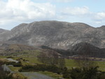 Dyrafjellet