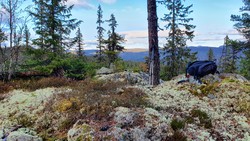 Breidsetåsen Nord