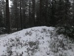 Uggeflaget