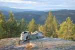 Sauås