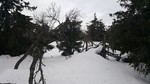 Langmyrhaugen