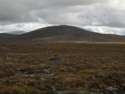 Storbolla