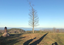 Bjørnåsen
