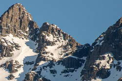 Grøvelnebba S1