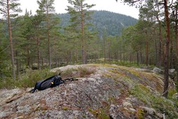Skolsåsen