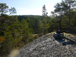 Fugleleiken