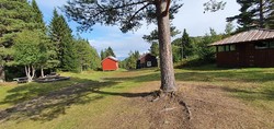 Damhaugen