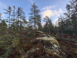 Langfosshøgda Nordøst
