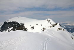 Holedalsfjellet