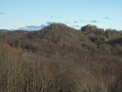 Borgaråsen