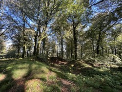 Massif du Mesnil østtoppen