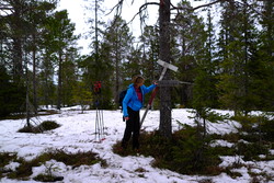 Foksetåsen