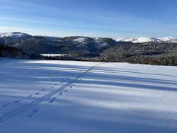 Bjørnatanglihøgda